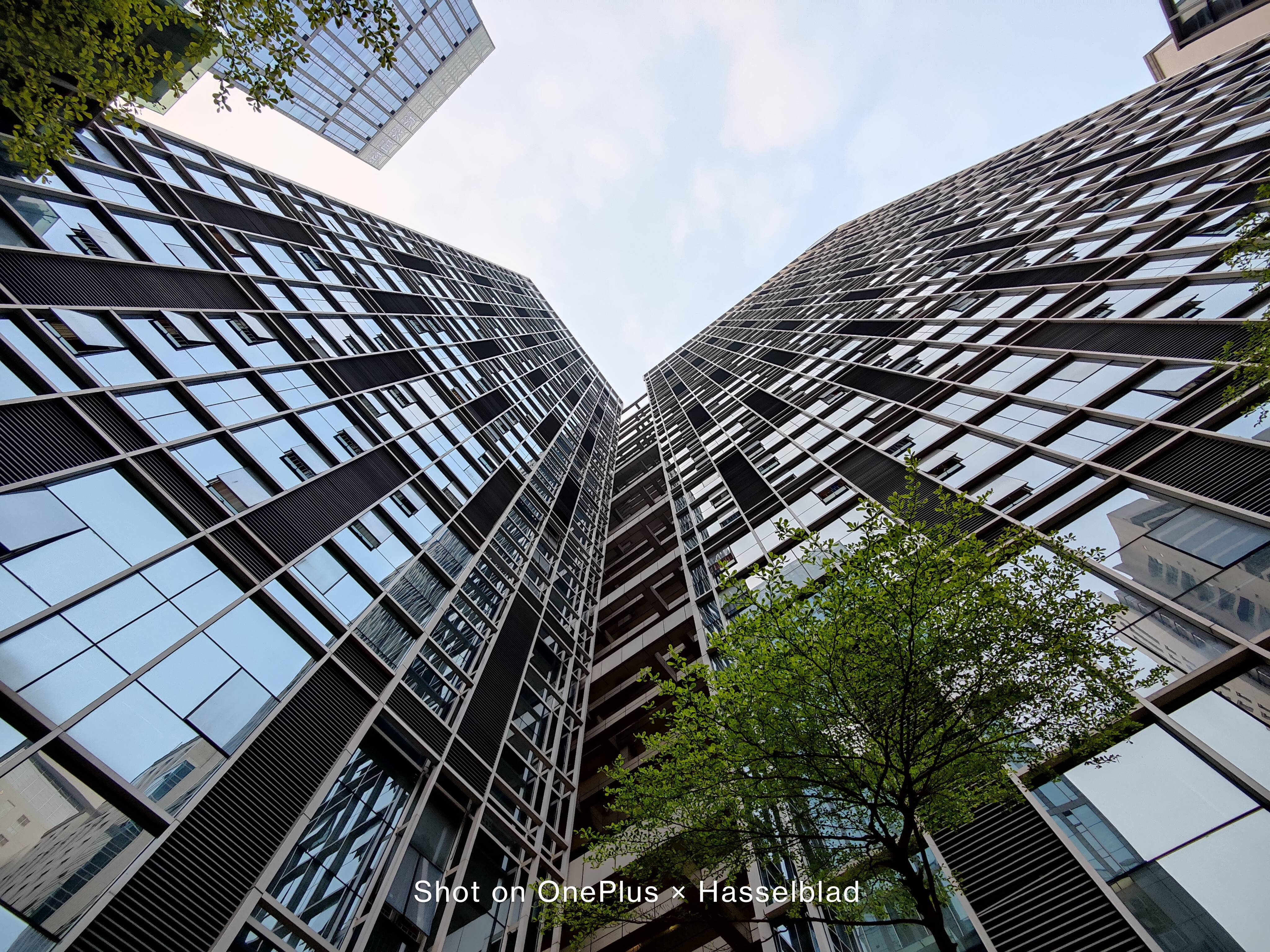 一加9pro深度体验街头摄影利器但绝非只擅长摄影