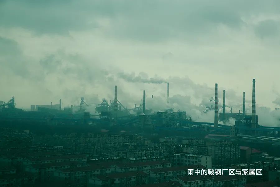 回流东北的年轻人