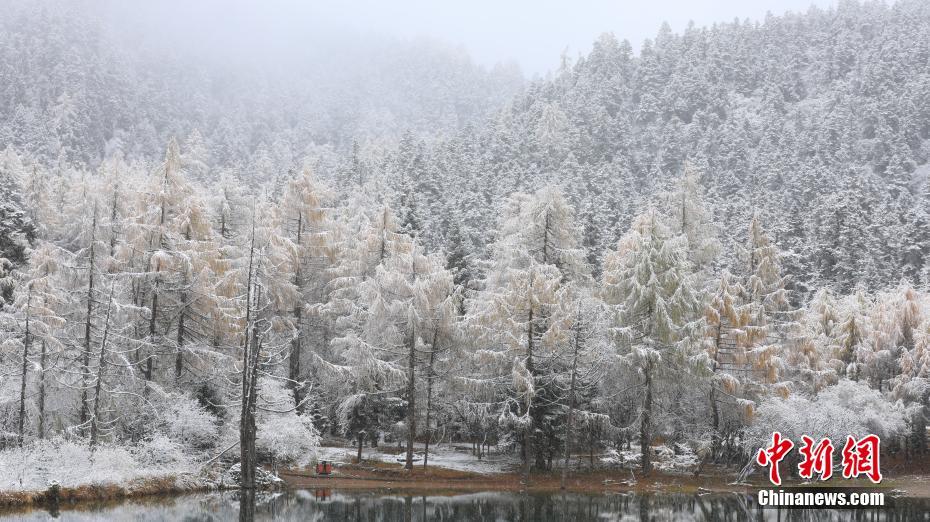 毕棚沟景区雪后风光。毕棚沟景区 供图