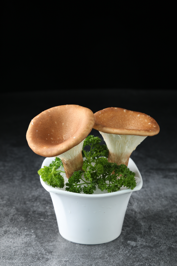 跨越1000公里登上餐桌,菌菇中的"大块头"如何圈粉上海人__凤凰网