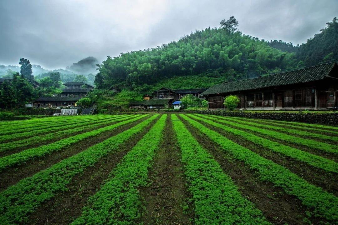 张家界牧笛溪,一条特别讲究仪式感的山涧.__凤凰网