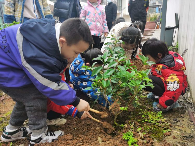 贵阳市云岩区第三幼儿园开展"植树节"主题活动