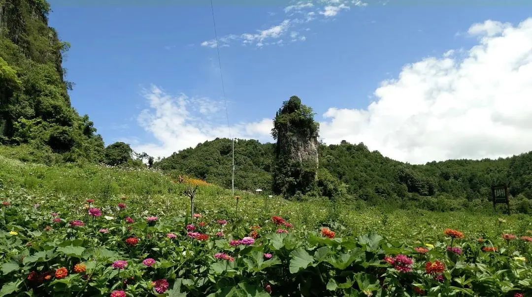 听松涛絮语 感山峰巍峨——相约广元市朝天区曾家山景区石笋坪