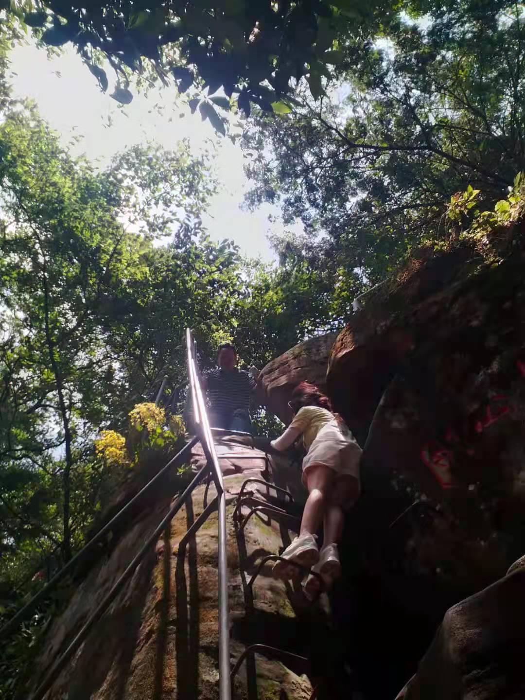 重庆主城赏景避暑森林公园推荐,巴南圣灯山__凤凰网