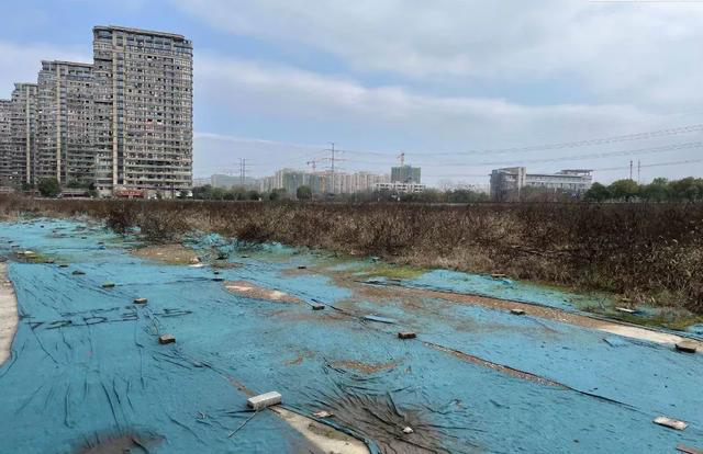 正文"震惊业内"的成交 这次杭州集中出让的地块中,福建房企建发斥资
