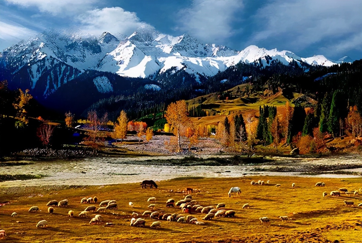 魅力伊犁——秋天的颜色