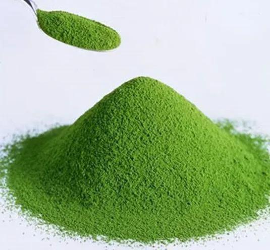 大力开发微藻食物,保障国家粮食安全 __凤凰网