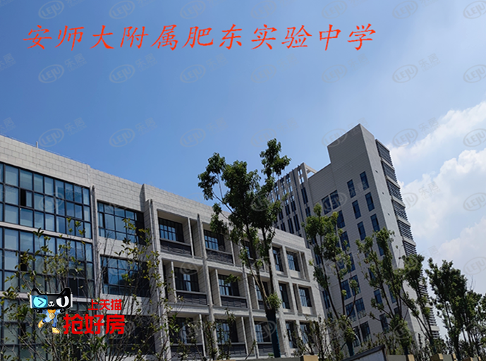 均价1.2万/平,合肥这个区域买房怎么选?