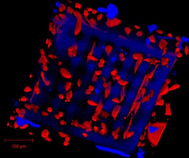 UpNano借助新3D打印设备实现生物打印
