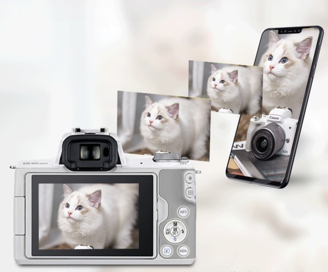 索尼微单相机排行榜_BCN上半年日本微单相机销量TOP10