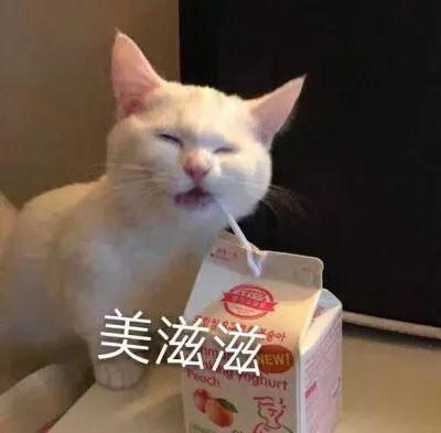 熊猫头美汁汁儿图片