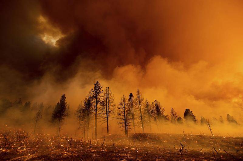 美国 | 西部数十处野火吞噬百万英亩土地，浓烟横贯东海岸，纽约空气指数爆表
