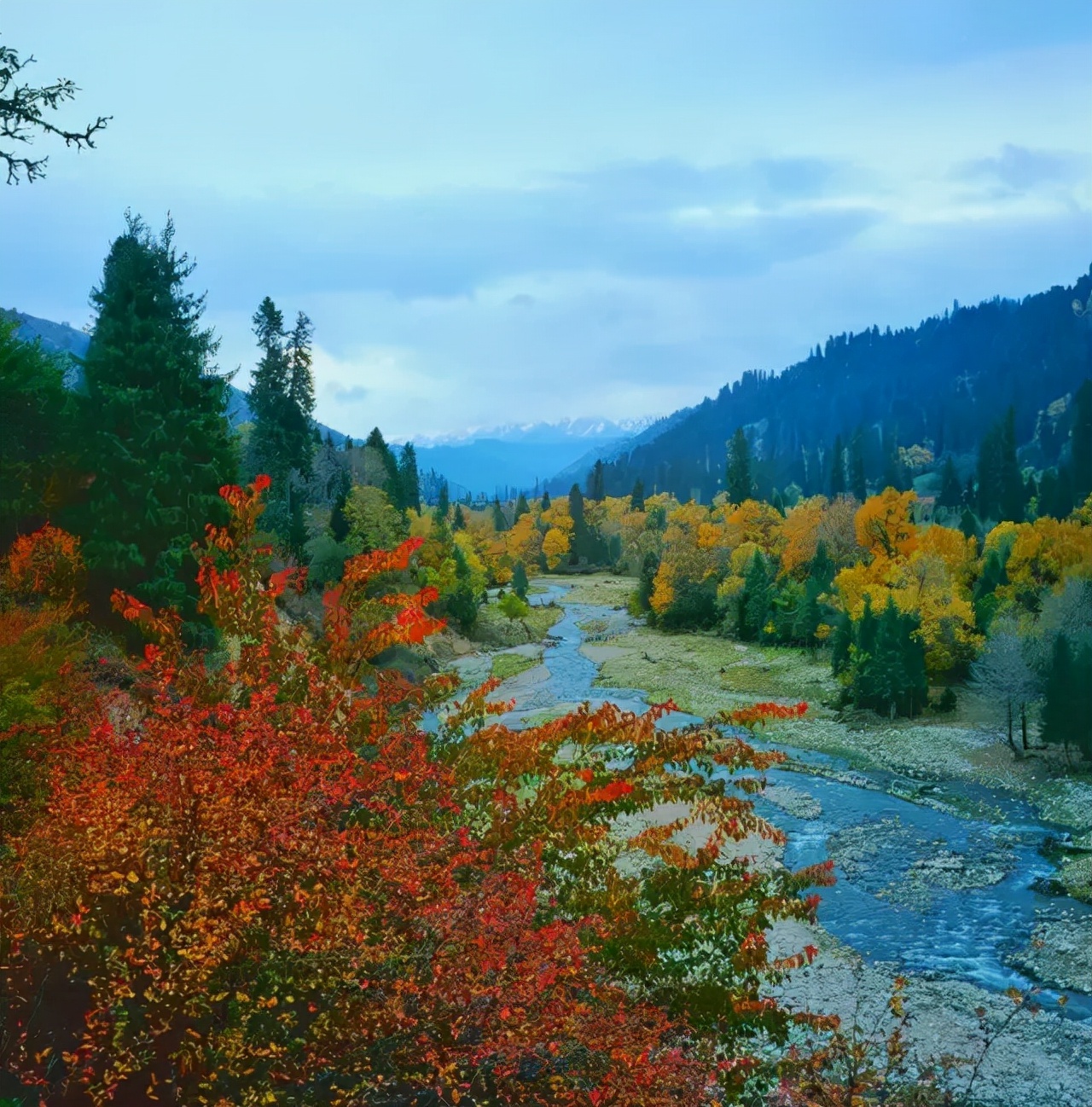 魅力伊犁——秋天的颜色