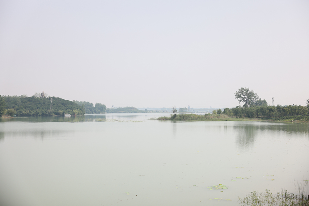 从观景平台望去,颍州西湖连片的水面。 阜阳广播电视台 宋时佳 摄
