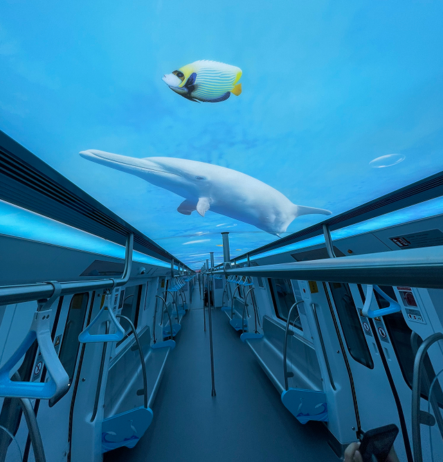 厦门地铁3号线两列主题列车亮相,海豚,大海龟,六区地标均现身