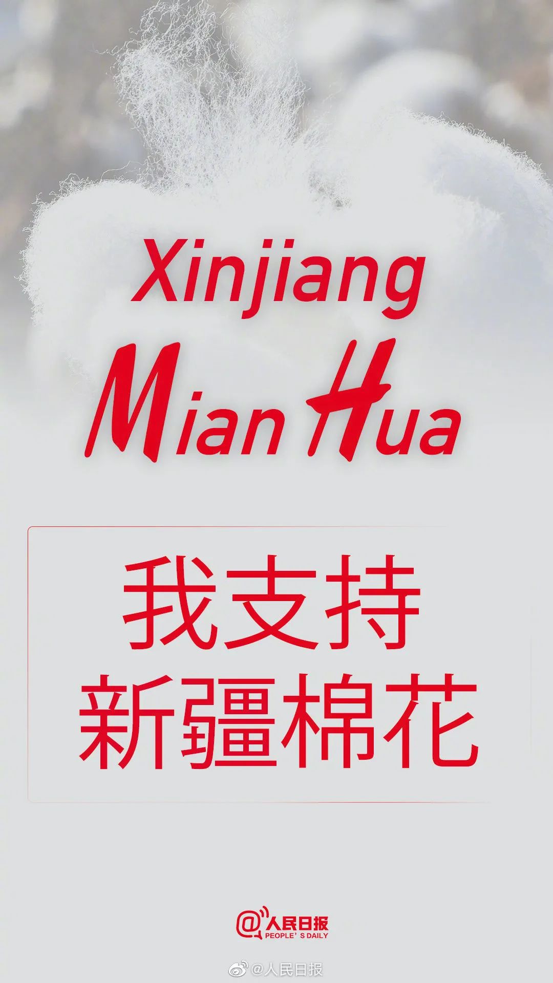带头抵制新疆棉花的BCI,是个什么组织?