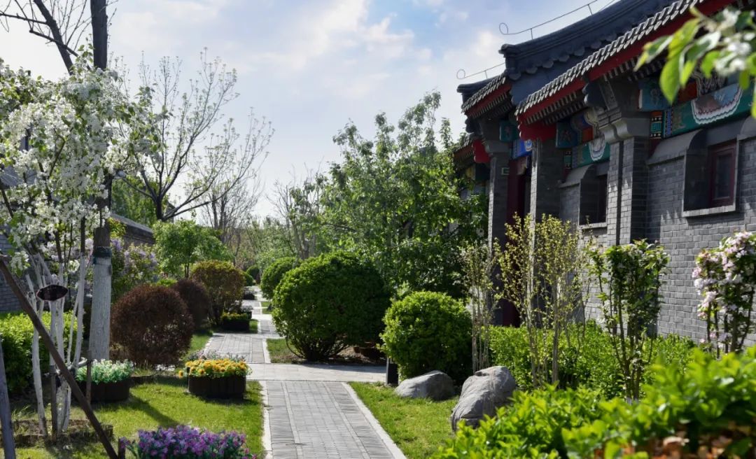 天津竟然还有纯正的四合院!一套至少2000多万…买不起也值得看!