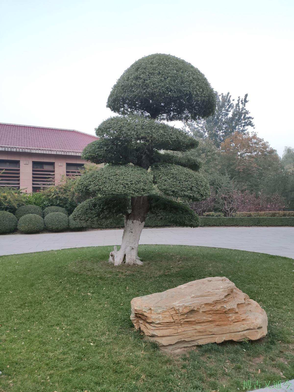 太阳宫地区最靠北的一座小花园,太阳公元公园__凤凰网