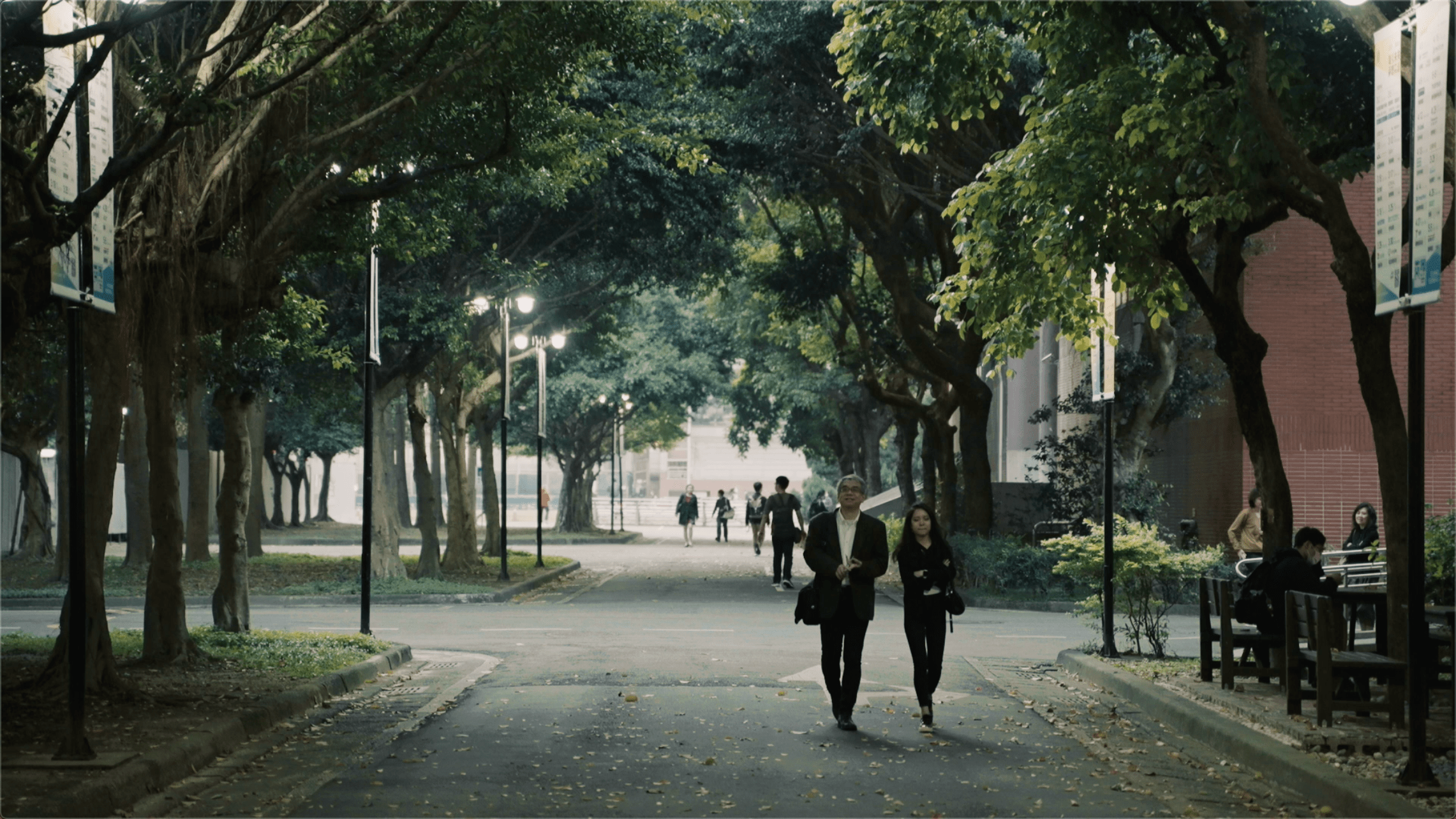 他哈佛毕业 佛系养娃23年 这是百死千难的修炼 凤凰网