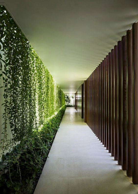 沿着长走廊一侧,挤出20cm宽,打造"窄条型"花园,真正一步一景