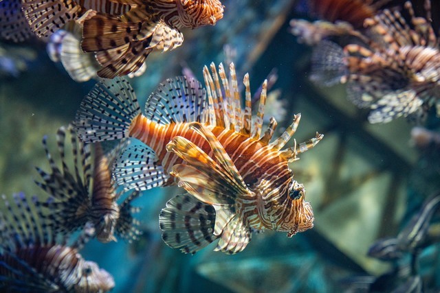 高画质视频好 尼康Z50微单相机值不值得买