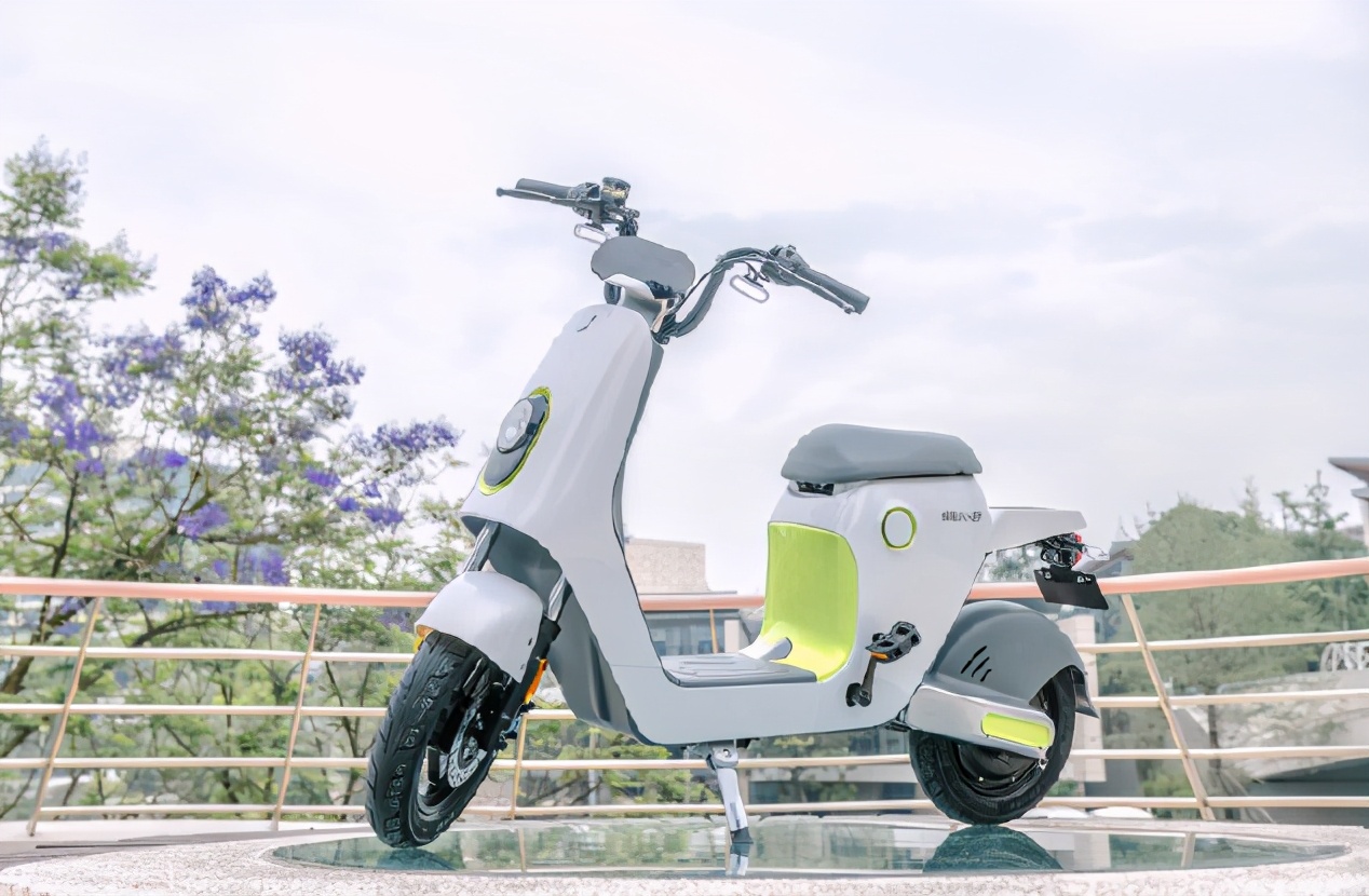 网红新国标电动车,你觉得值四千多吗?__凤凰网