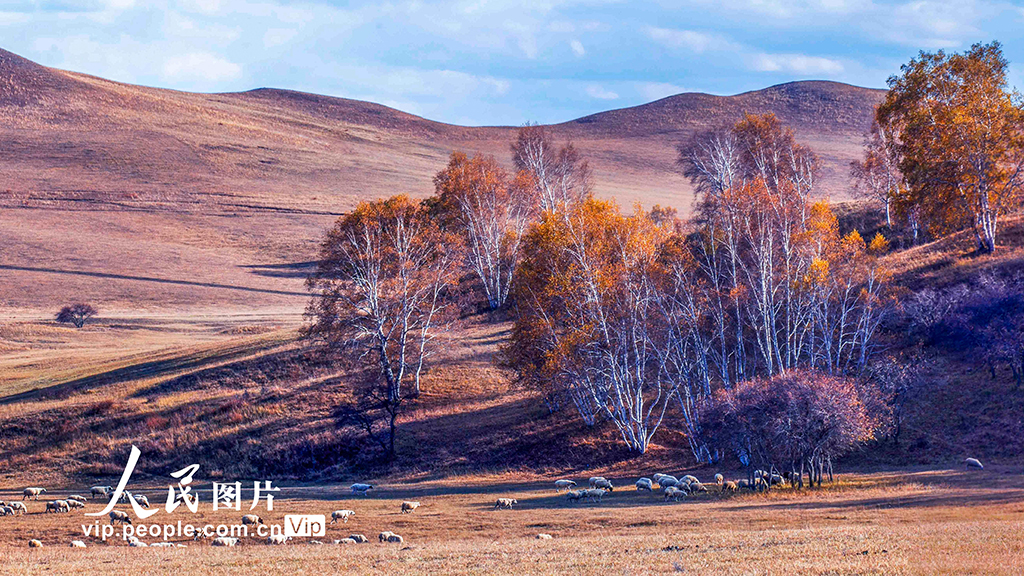 内蒙古赤峰:深秋草原 美如画卷_凤凰网