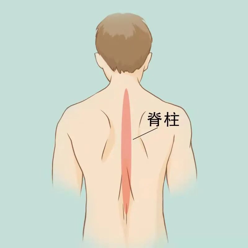 后背疼与多种病有关!一张「疼痛位置图解」看得明明白白__凤凰网
