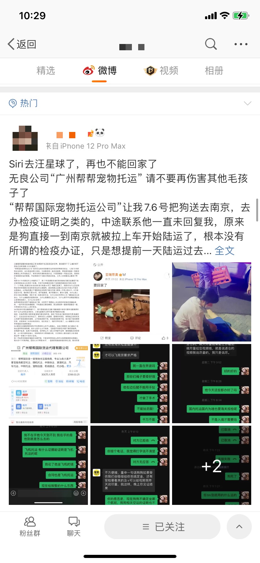 金毛主人发文 来源：微博博主“亚瑞蒂奥”