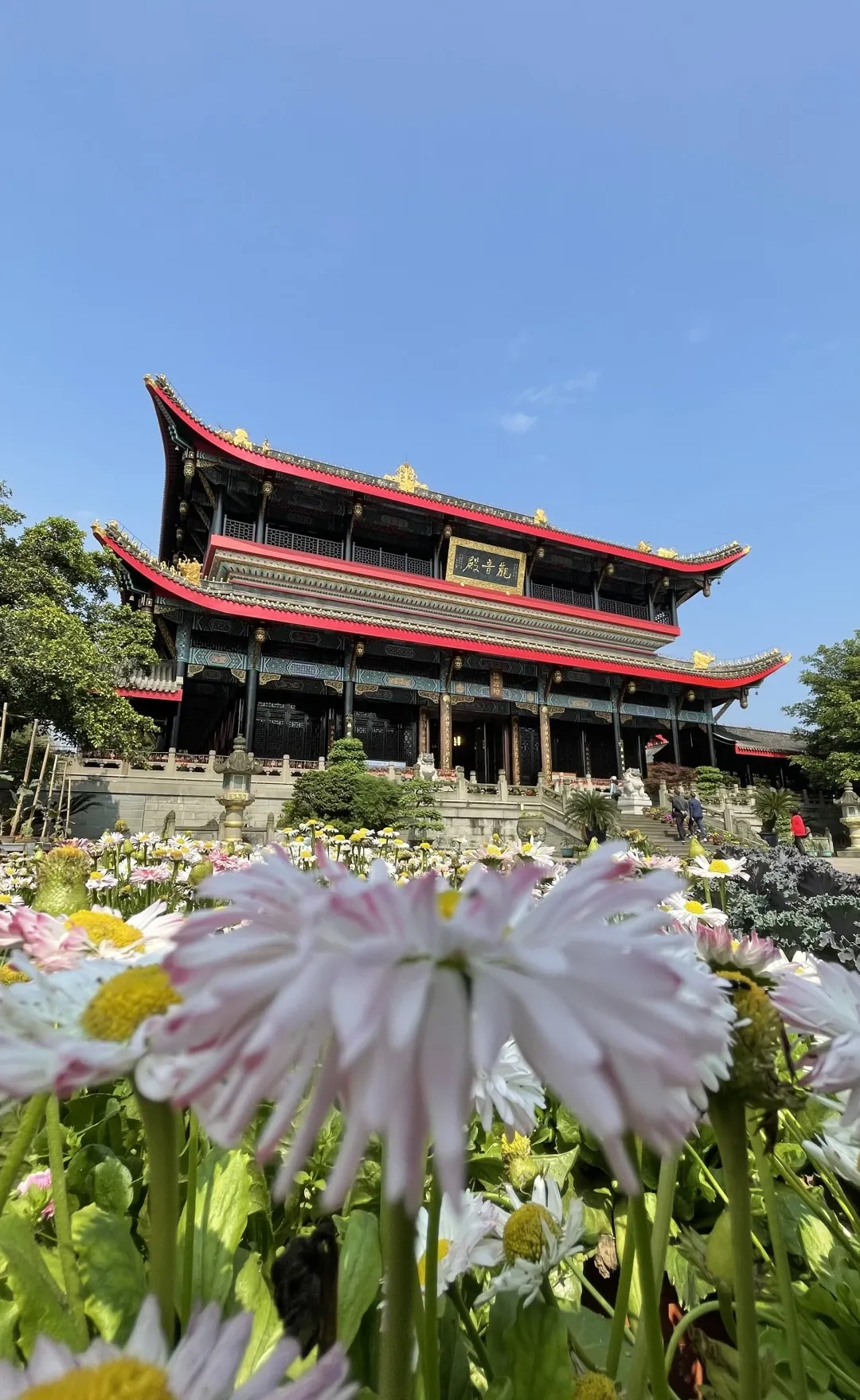 大佛禅院,峨眉山一处让人欢喜的地方