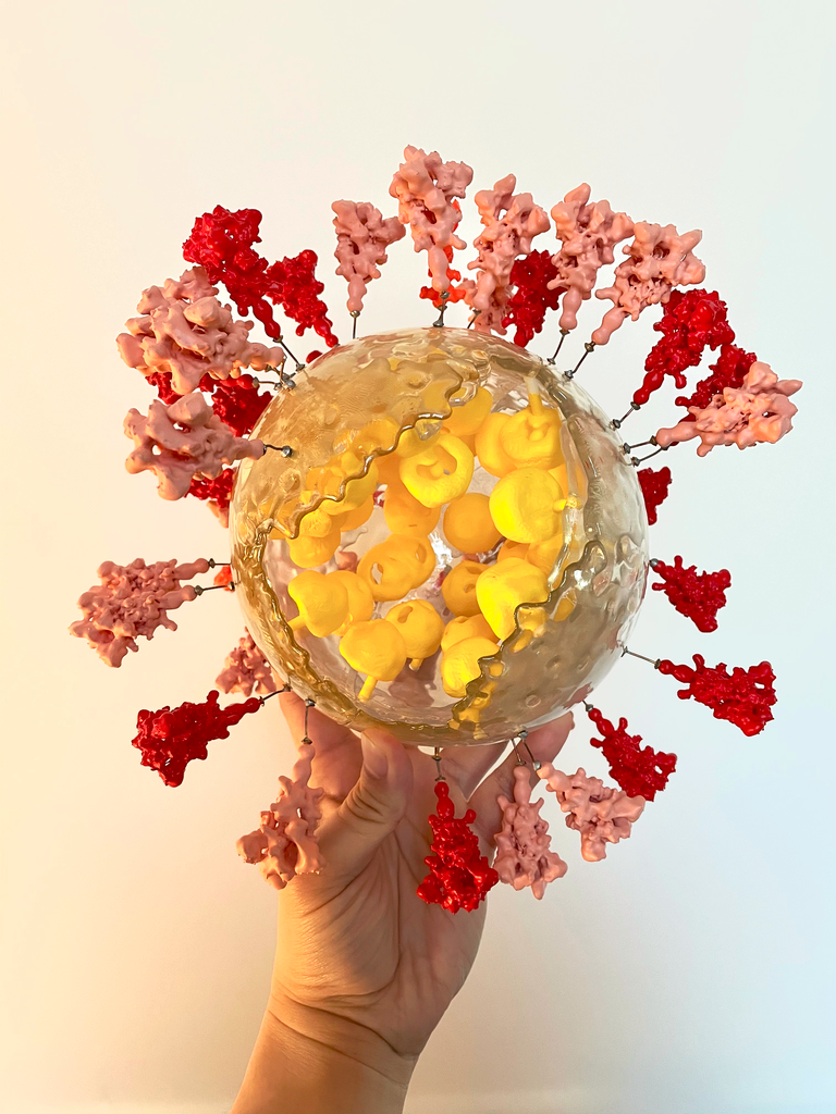 真实新冠病毒200万倍放大的3D打印模型-20厘米直径