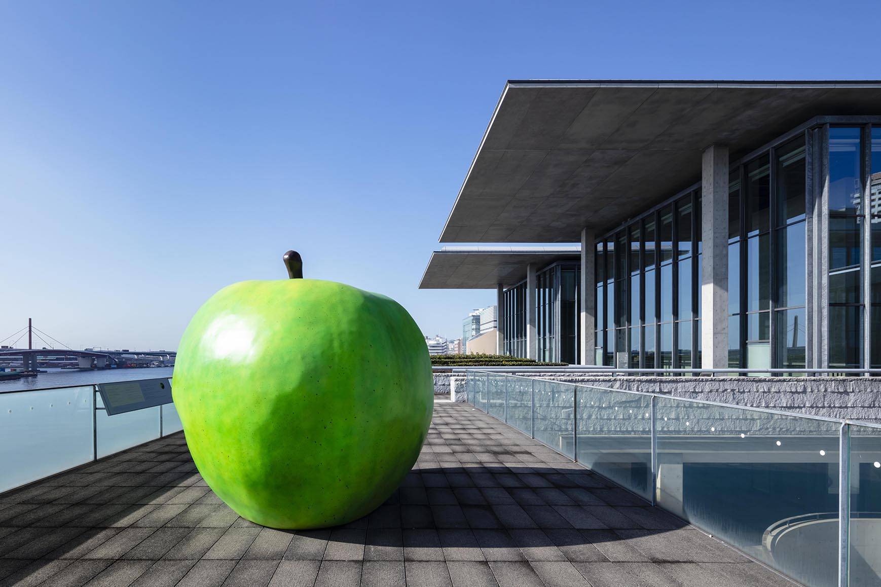 80 岁的安藤忠雄 在中国重造青春 天天新闻 甜甜新闻