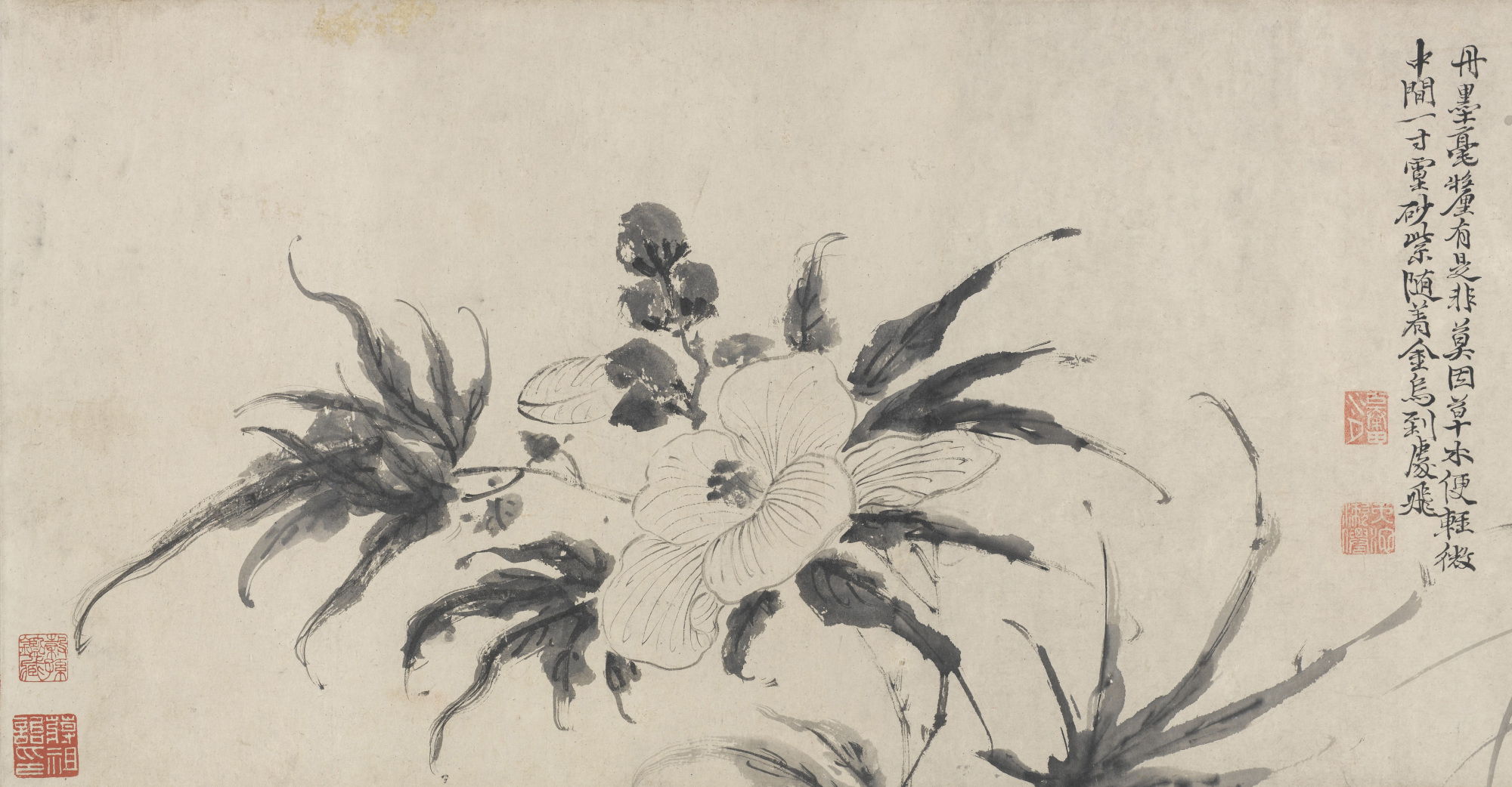 『海外馆藏』徐渭《十二花卉图》长卷,一诗一画,才情纵逸__凤凰网