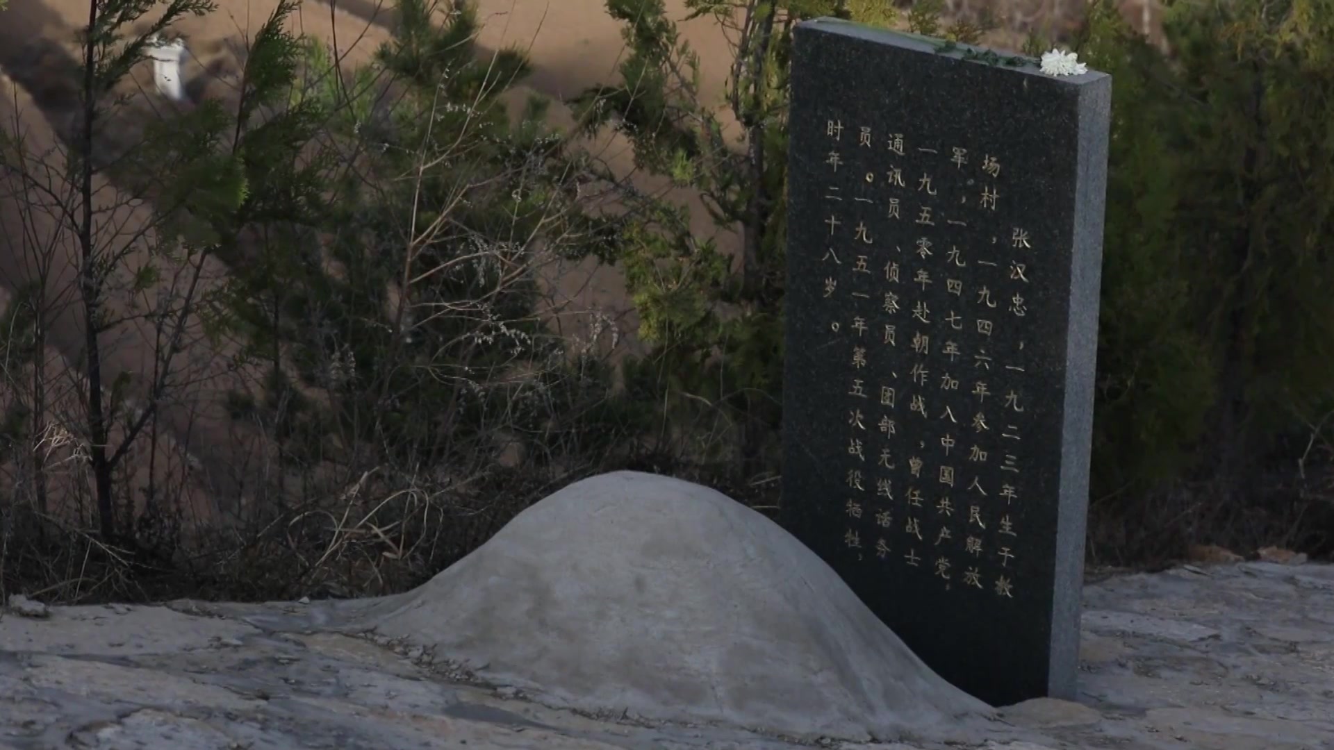 陈益峰：甲胄藏珠穴，四川军阀杨森的家族祖坟区域 - 土木在线