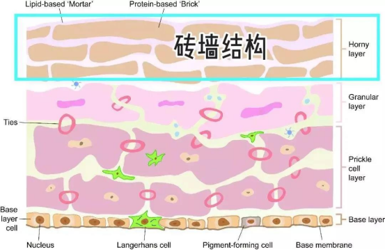 什么是光电治疗光电治疗后皮肤有色沉和返黑？做好术后修复更关键_https://www.jmylbn.com_新闻资讯_第3张