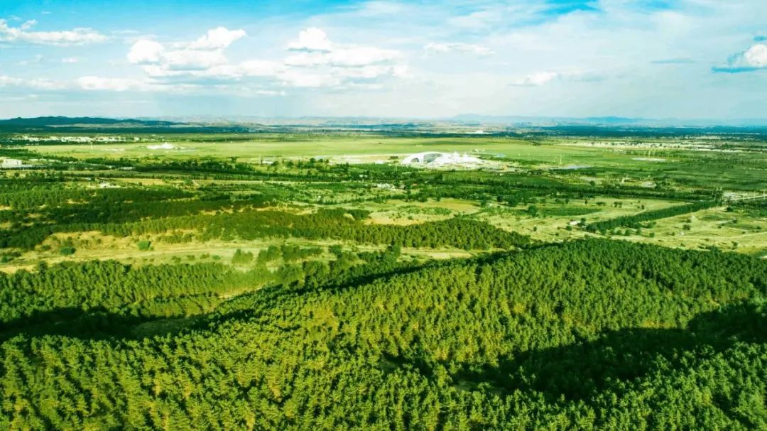 我国森林覆盖率 成都亮“绿色”家底：森林覆盖率40.20% 人均拥有46棵树