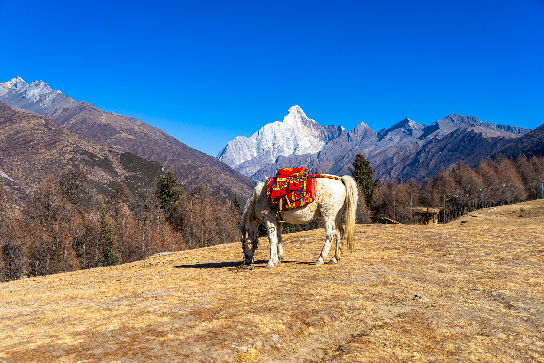 川西秘境,在四姑娘山开启一场醉美的跨年之旅