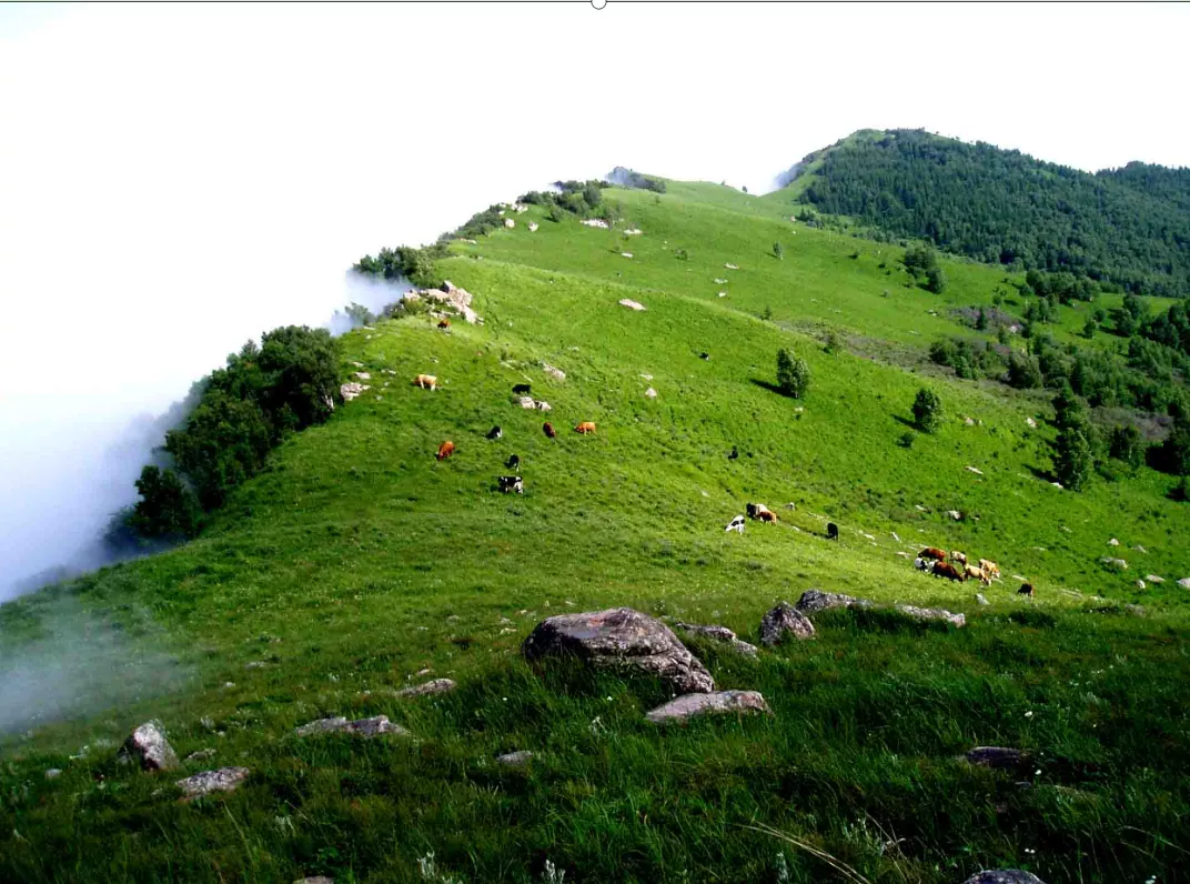 阜平辽道背自然风景区图片