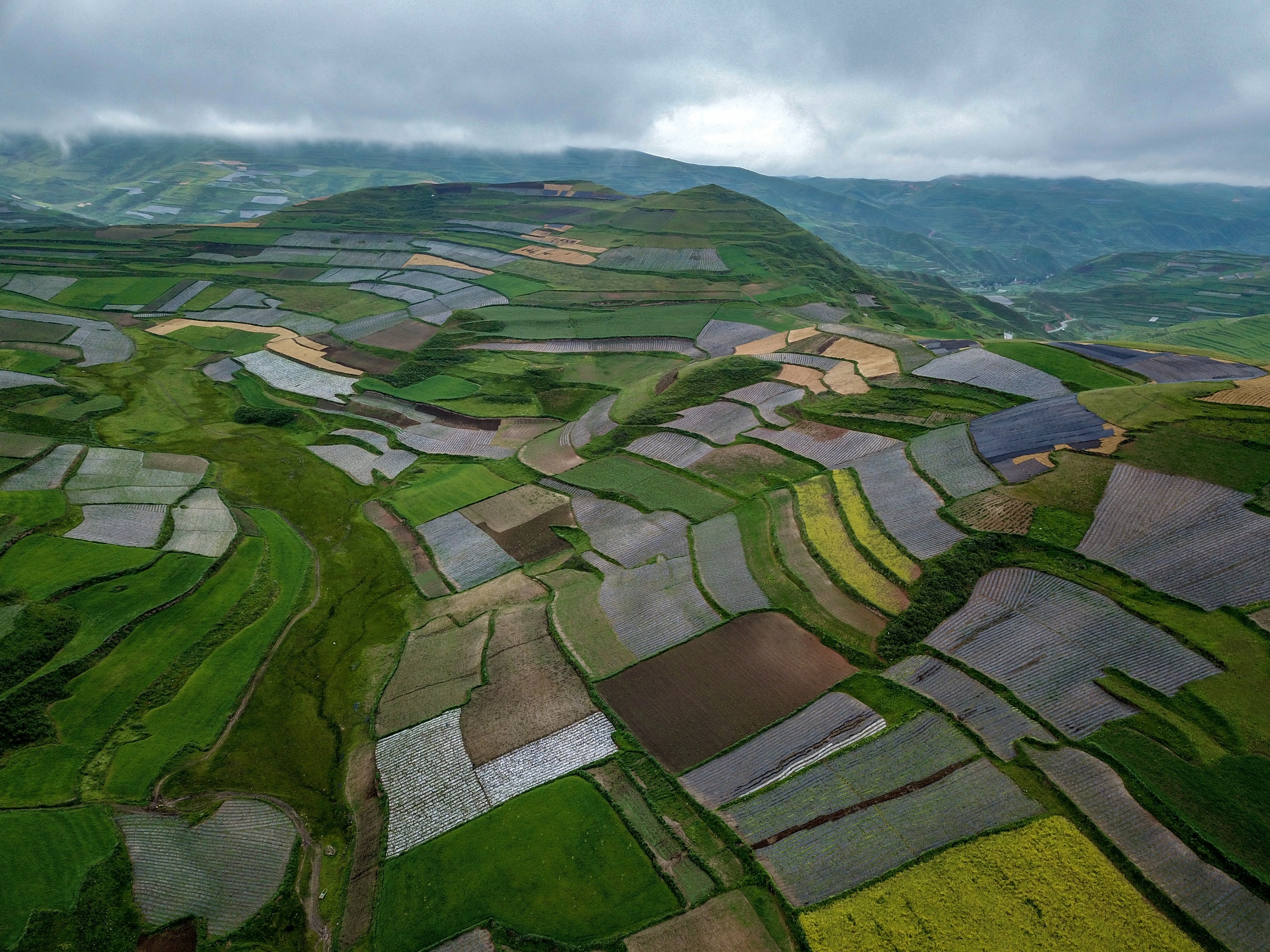 行走的这几天,我们的背后是山高谷深的群山,前方是沟壑纵横的黄土高原
