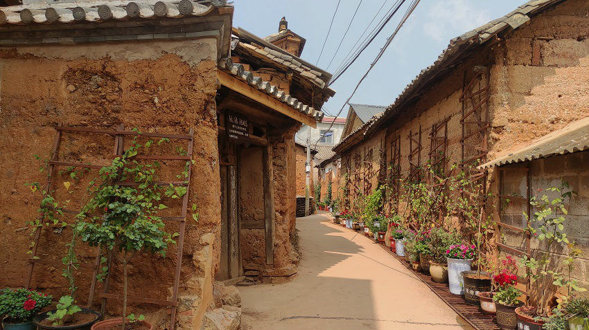 云南以花为媒筑梦乡村振兴