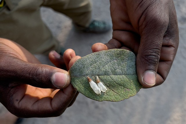 摄影师Austin Mann分享iPhone 13 Pro样片