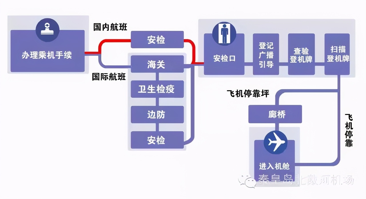 办理登机手续流程图图片