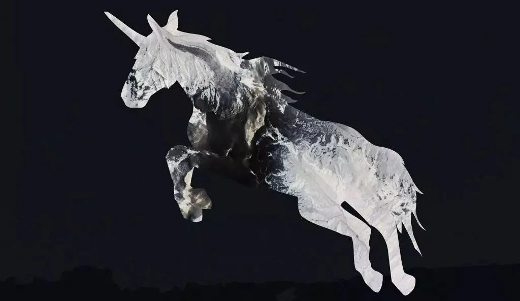 29城捕获251只独角兽,北京实力霸榜(附完整名单)__凤凰网