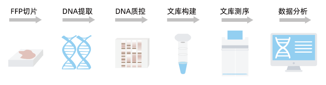 全流程覆盖！从DNA提取到数据分析，ABclonal FFPE DNA一体化解决方案化解NGS测序难题__凤凰网