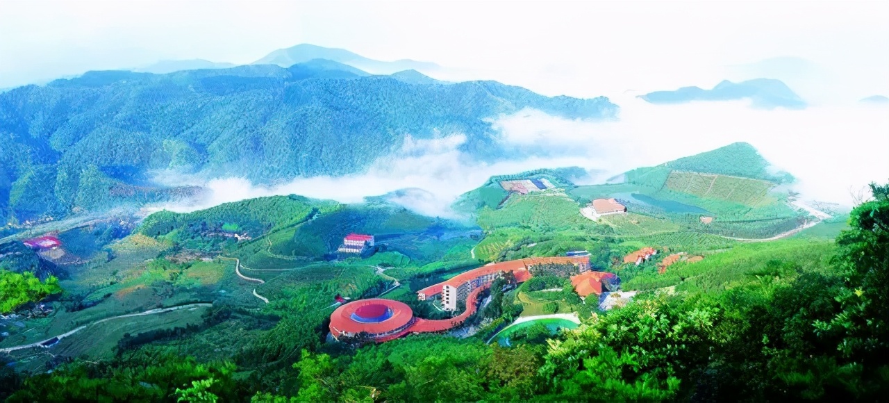 大雁南飞时,邂逅别致的客家美景——雁南飞茶田__凤凰网