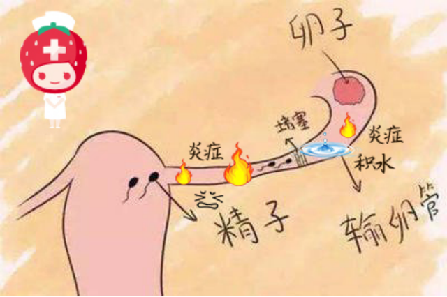 代生孩子（报喜万家！输卵管积水的她放弃做试管，却凭一剂中药喜获“好孕”）