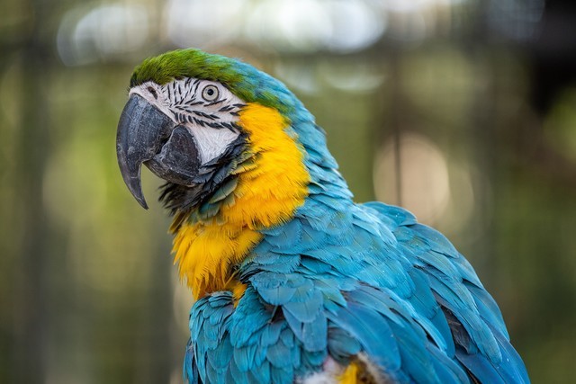 必买:从5000到20000元 尼康微单相机选购攻略