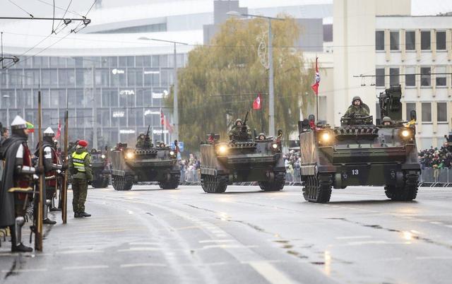 图为立陶宛军队