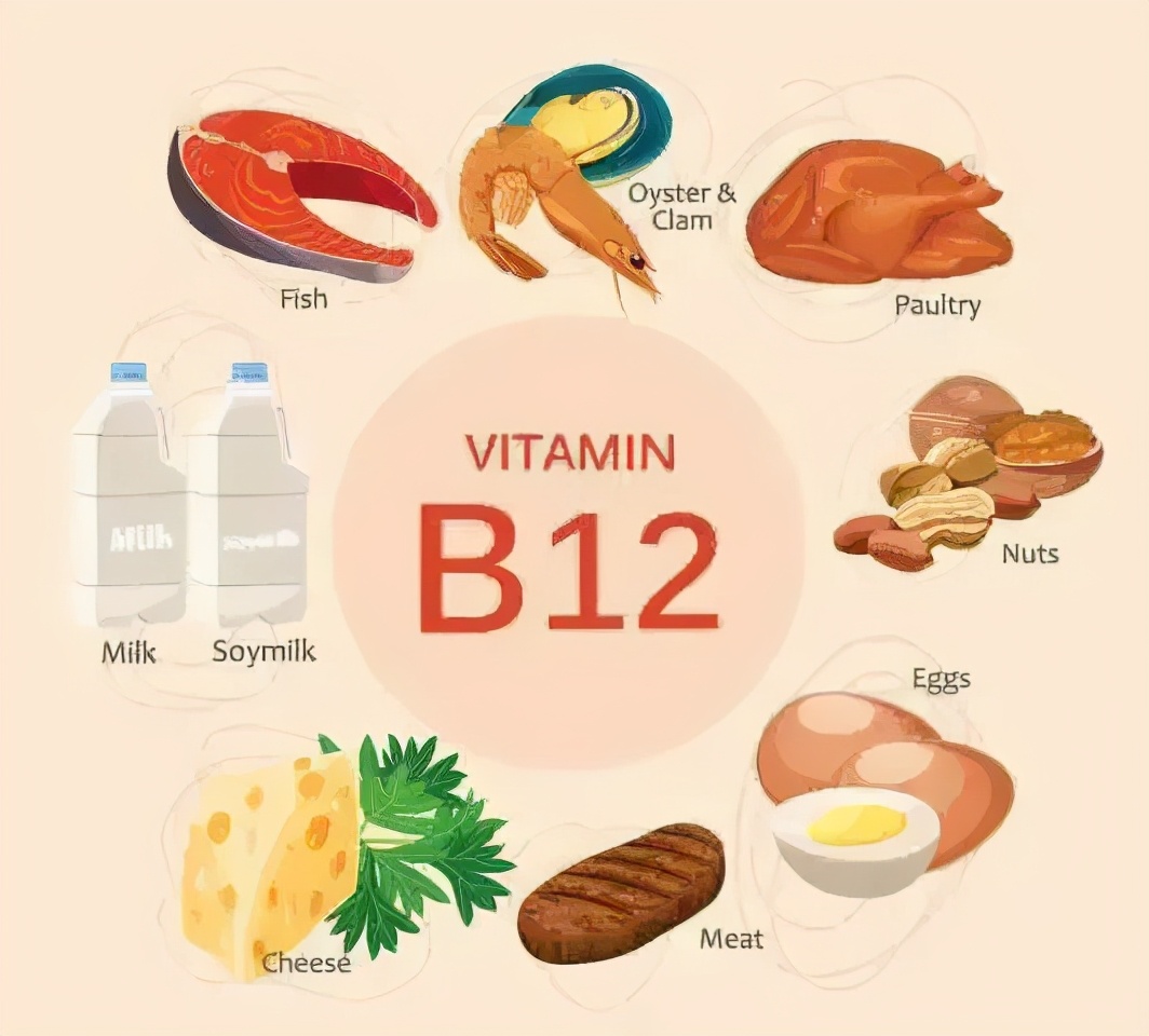 素食者更容易缺乏！維生素 B12 不足的常見症狀 - Heho健康