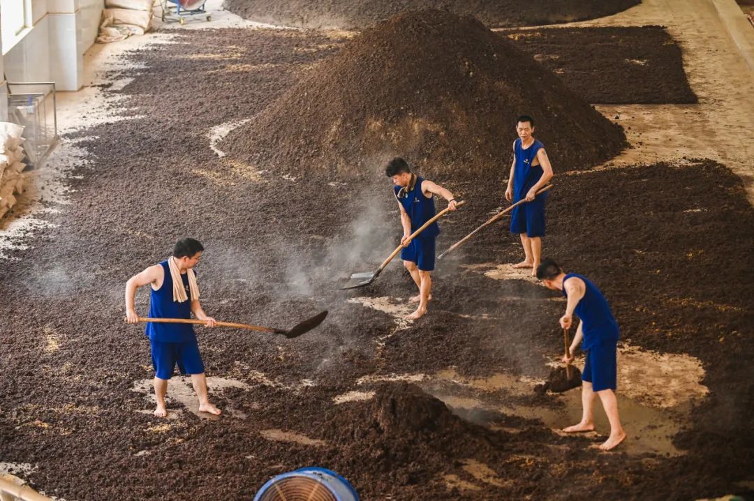 姜文代言贵州安酒,酱酒迎来新大咖